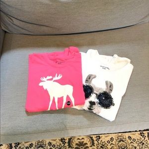 Abercrombie kids T-shirt set of 2 size 15/16